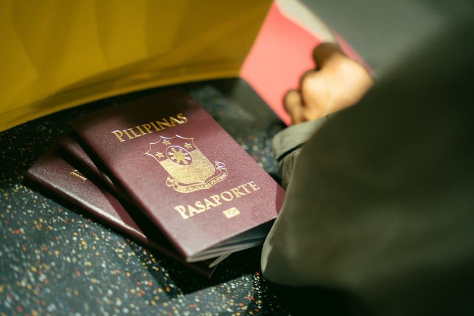 Umuma Mahsus Pasaport Nedir?